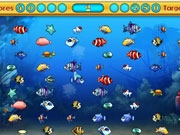 Play Couple fishes