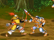 Play Dynasty Fighter