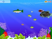 Play Ocean grown