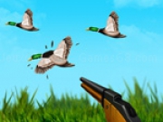 Play The Duck Hunter