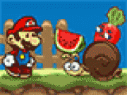Play Mario Fruits
