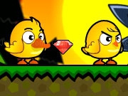 Play Chicken Duck Brothers