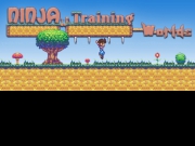 Play Ninja Training Worlds