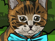 Play Kittys Big Day