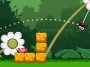 Play Gluttonous Spider