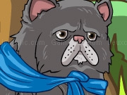 Play Fluffy Cat