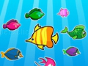 Play Colorful Fish Matching