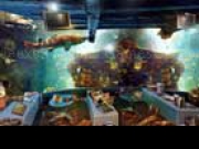 Play Aquarium New Season