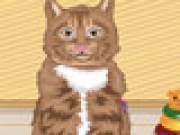 Play Adopt a Kitty