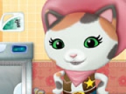 Play Sheriff Callie Washing Toys