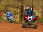 Play Forest ATV Challenge