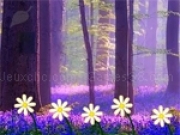 Spielen Turkey Asylum Escape Final