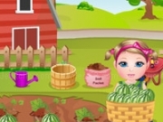 Play Kim Watermelon Farming