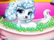 Play Princess Pet Grooming
