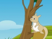 Play Escape Squirrel from American Island