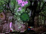 Play Ancient Forest Escape