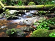 Play Mountain River Jigsaw Puzzle