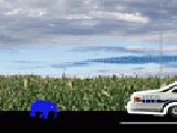Play Run Elephant Run