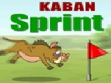 Play Kaban Sprint