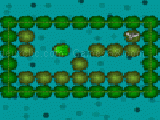 Play FrogFly
