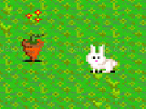 Play Bunny Bunny Boom