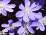 Play Hidden springstones 2