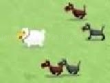 Play Pasture panic