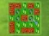 Play Little farm