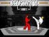 Play Kumite