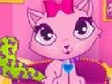 Play Fluffy starz dress up