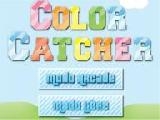 Play Color catcher