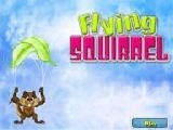 Play Flying squirrel