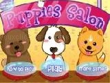 Play Puppies salon