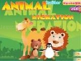 Play Animal migration