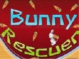 Play Bunny rescuer