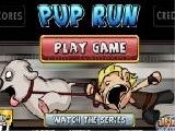 Play Pup run