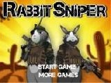Play Rabbit sniper