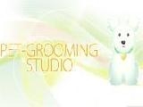 Play Pet grooming studio