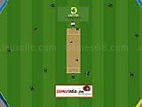 Play Cricket master blaster