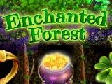 Play Enchanted forest