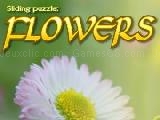 Play Sliding puzzle: flowers