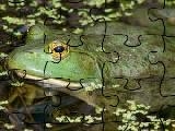 Play Bullfrog jigsaw puzzle