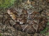 Play Copperhead jigsaw puzzle