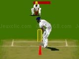 Play Virtual cricket