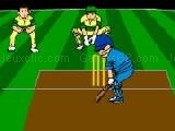 Play Virtual cricket 2
