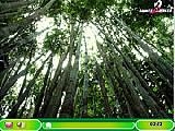 Play Hidden hint - giant cat