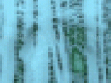Play The vision test 2 (fixed)