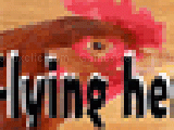 Play Flying hen