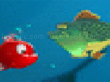 Play Fish crunch