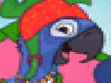 Play Rio, the flying macaw